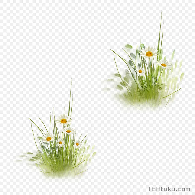 卡通花草草丛