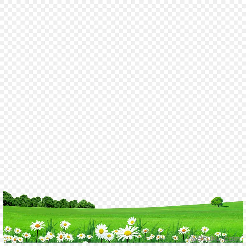 草原花草