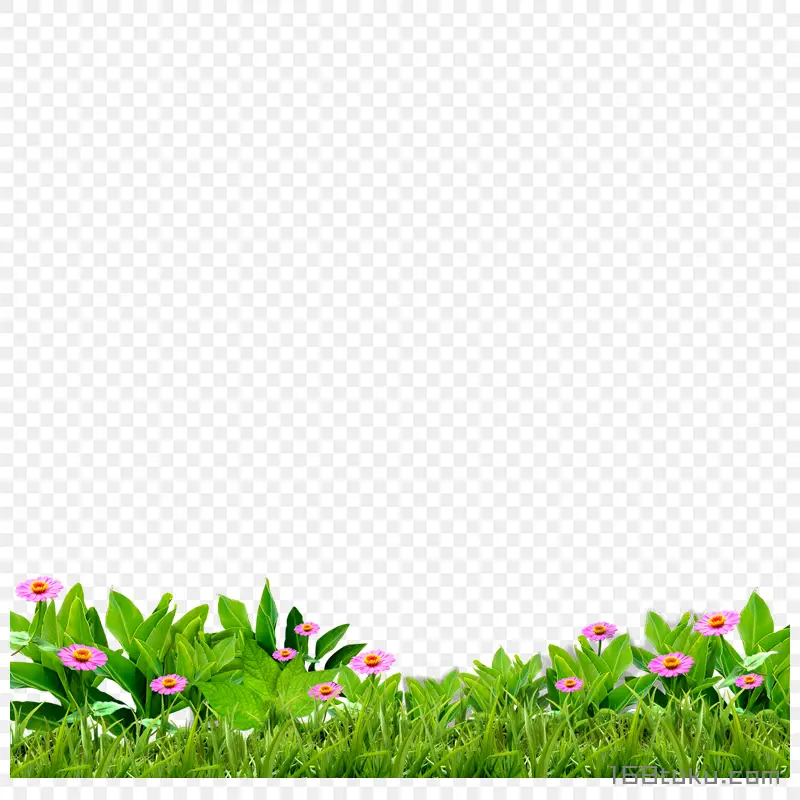 花草草丛