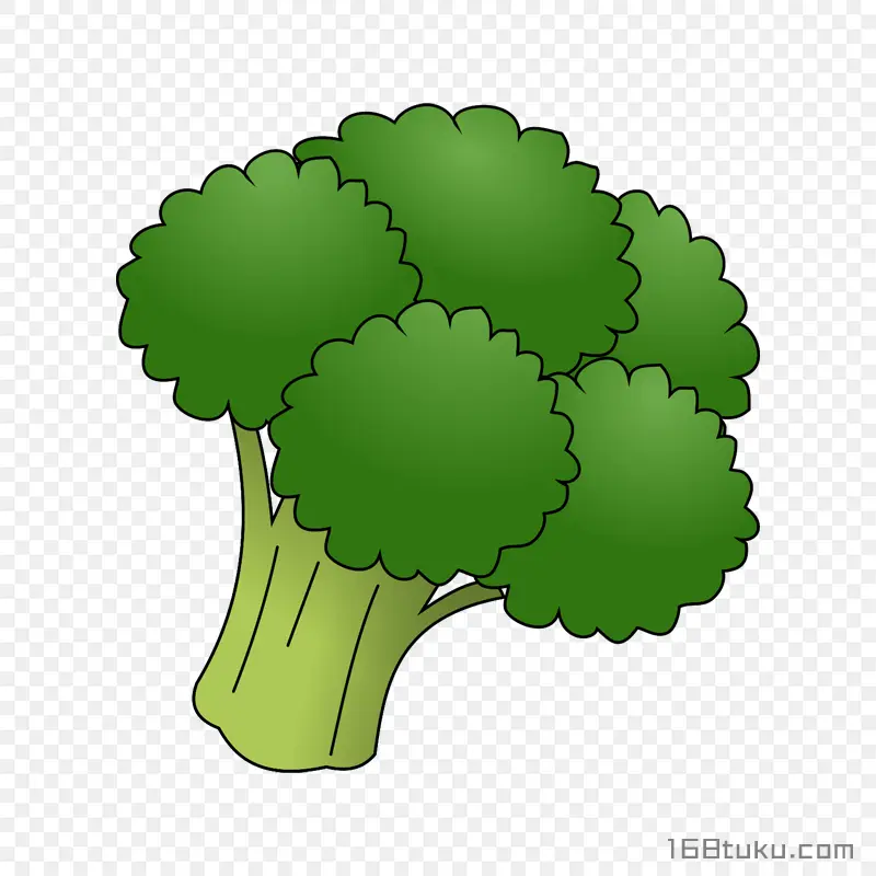 手绘西兰花花椰菜png素材