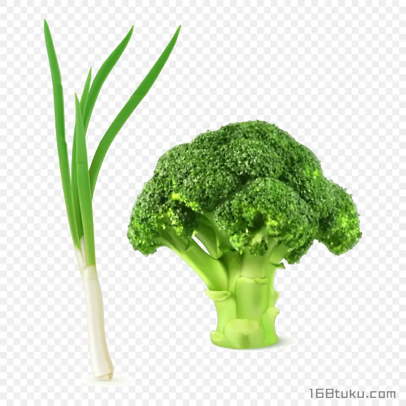 手绘青花菜西兰花花椰菜香葱png素材
