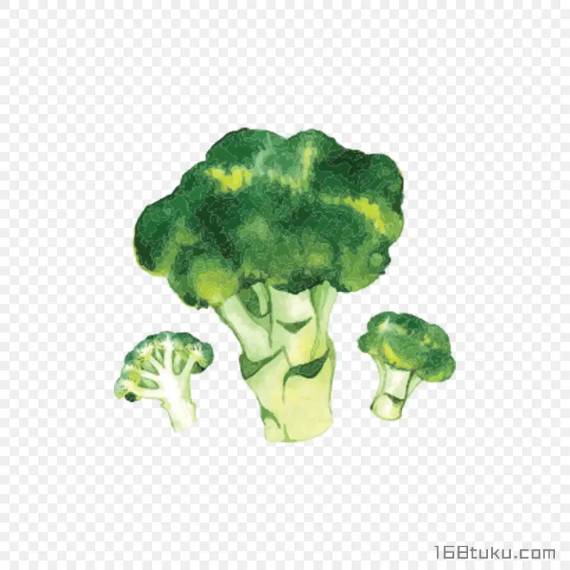 手绘西兰花花椰菜png素材
