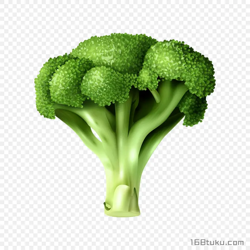 手绘西兰花花椰菜png素材