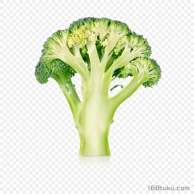 青花菜西兰花花椰菜png素材