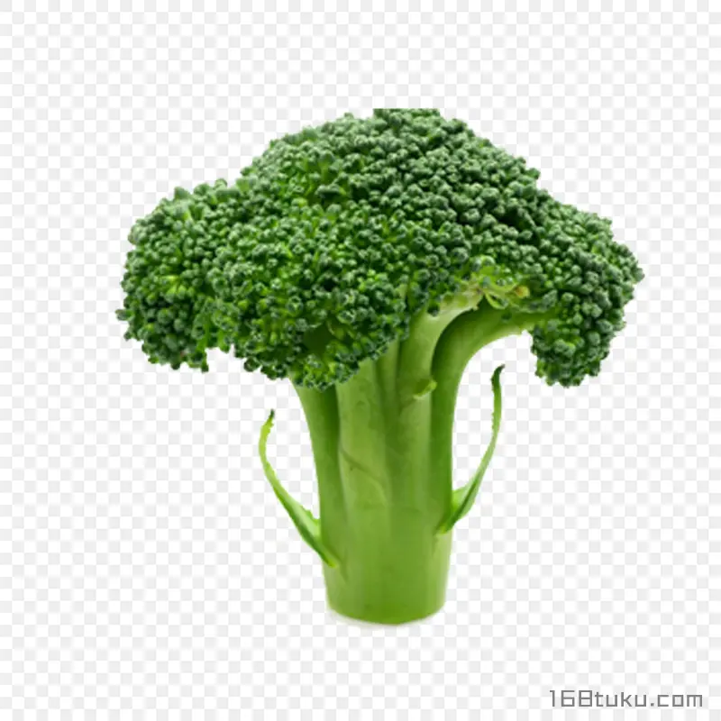 青花菜西兰花花椰菜png素材