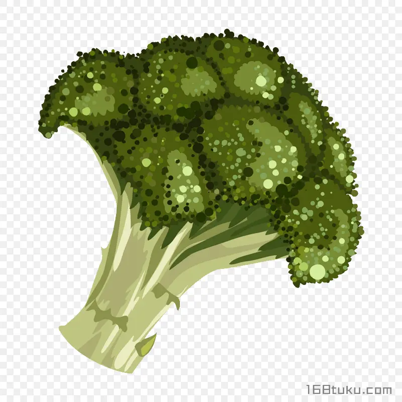 手绘西兰花花椰菜png素材