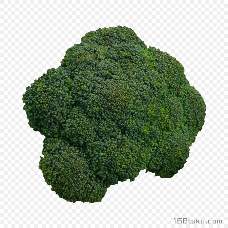 青花菜西兰花花椰菜png素材