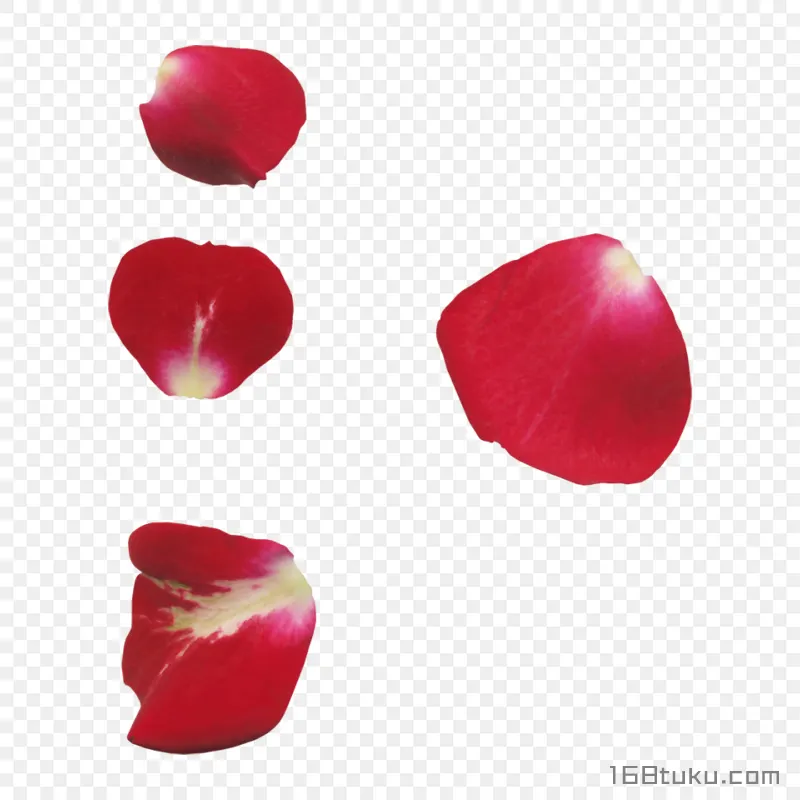 花瓣