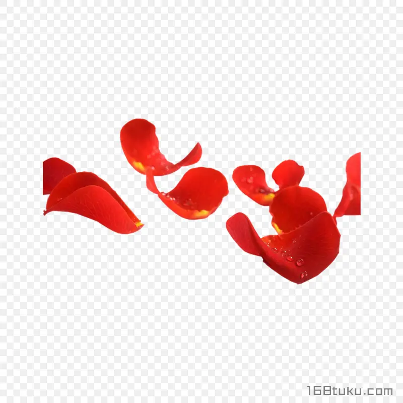 花瓣