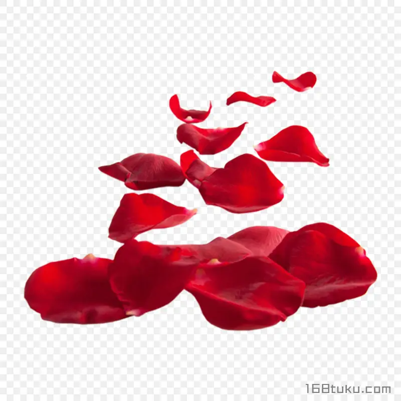 花瓣