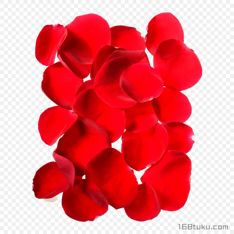 花瓣