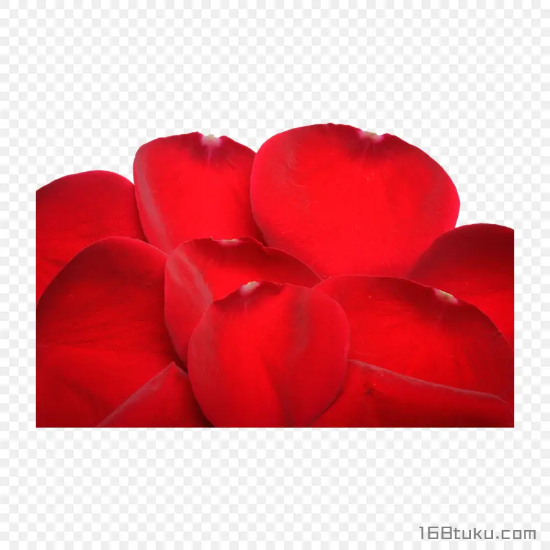 花瓣