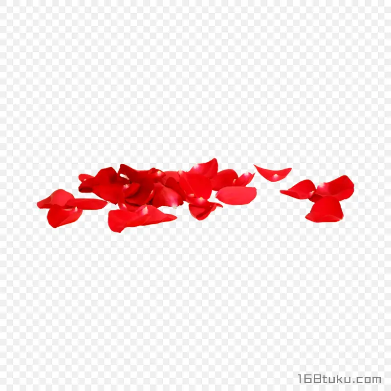 散落的花瓣