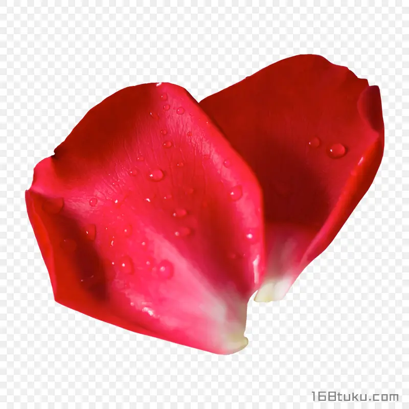 花瓣