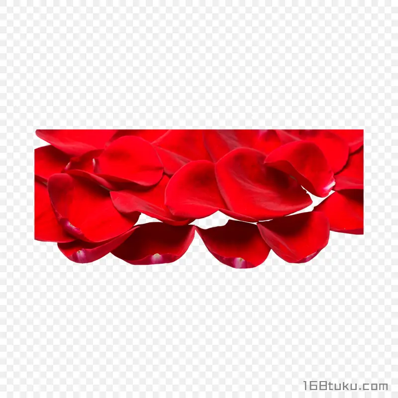 花瓣