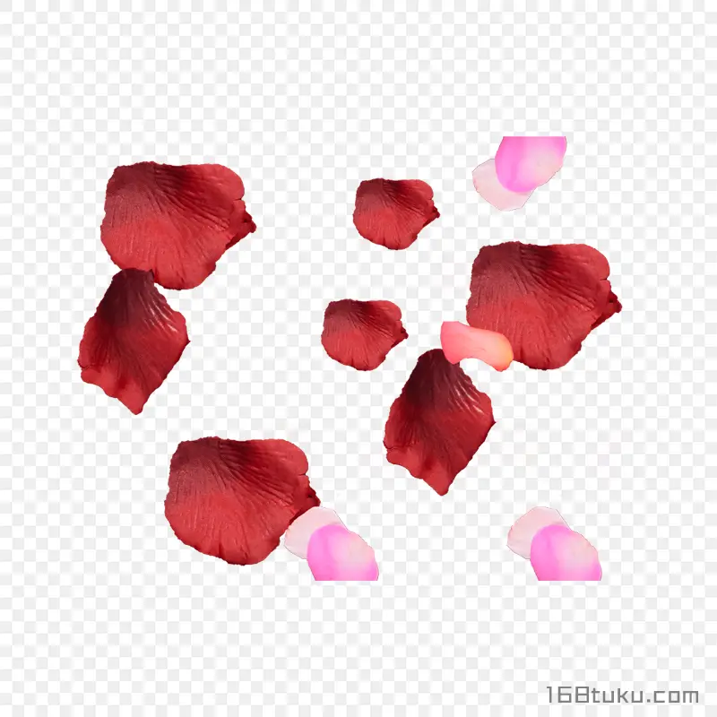 花瓣