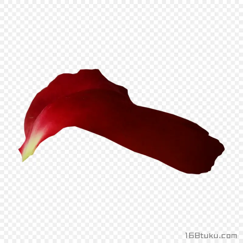 花瓣
