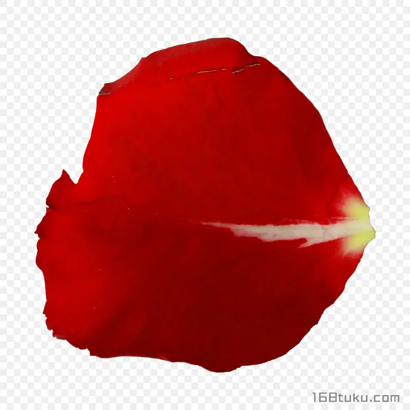 花瓣