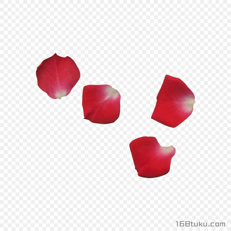 花瓣