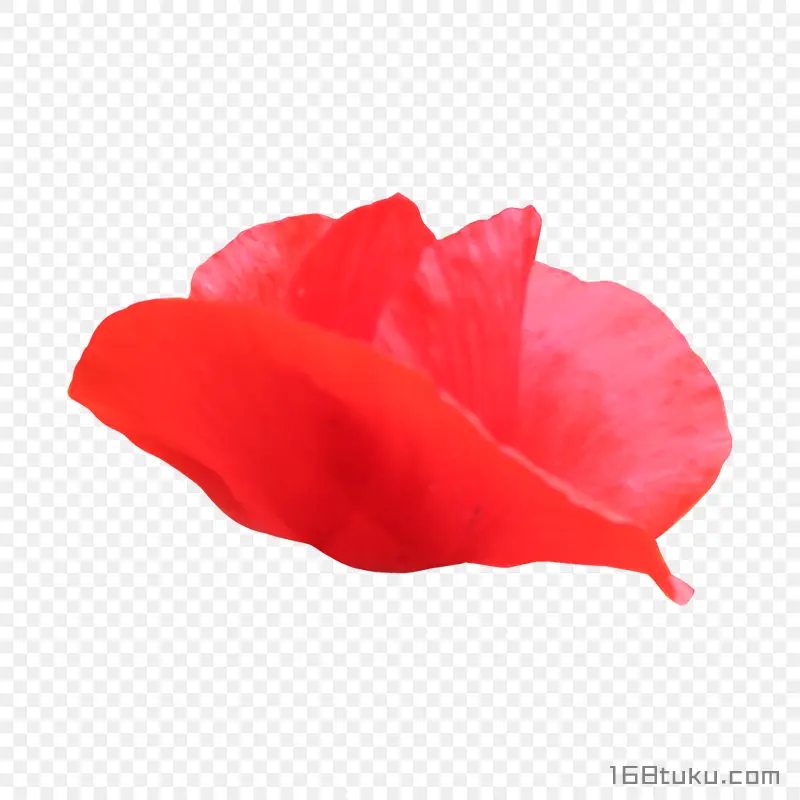 花瓣
