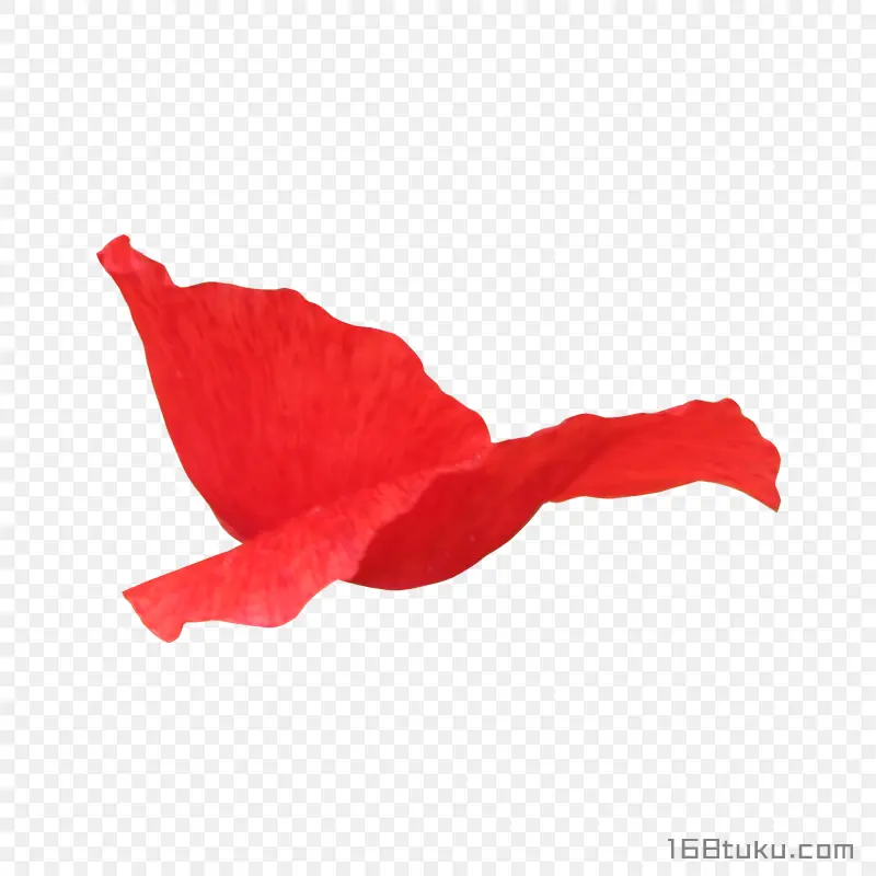 花瓣