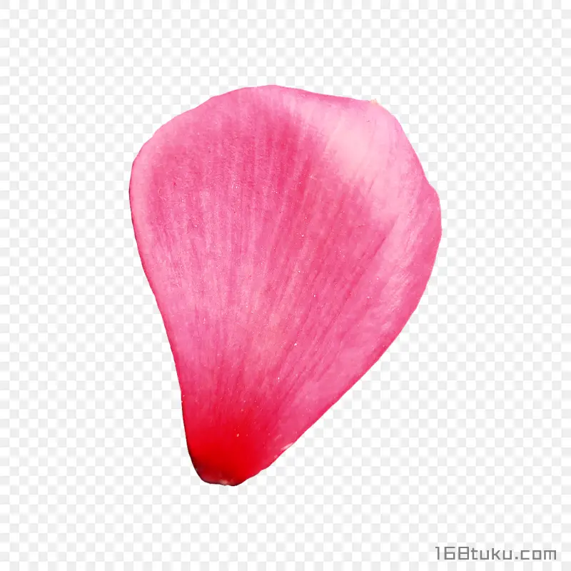 花瓣