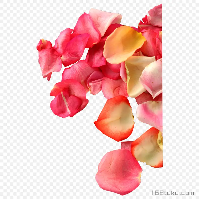 花瓣