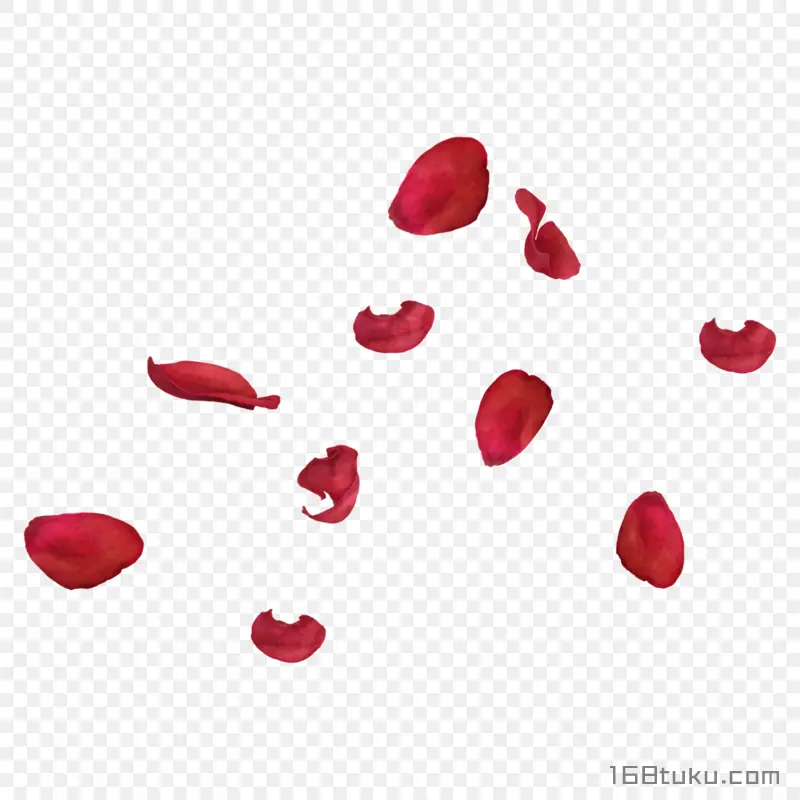 花瓣