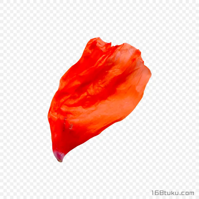花瓣