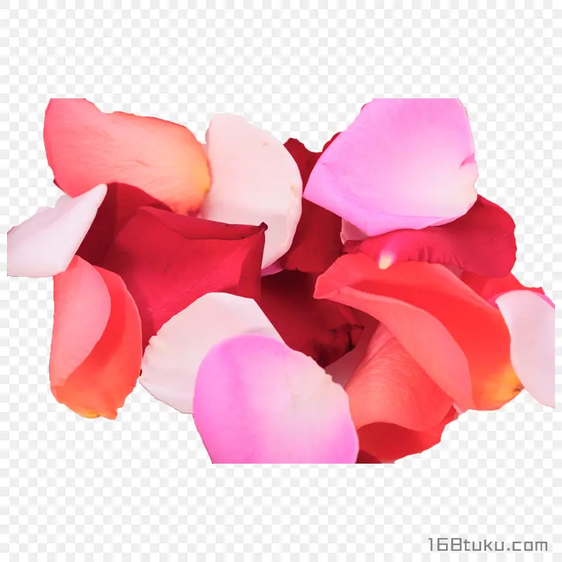 花瓣