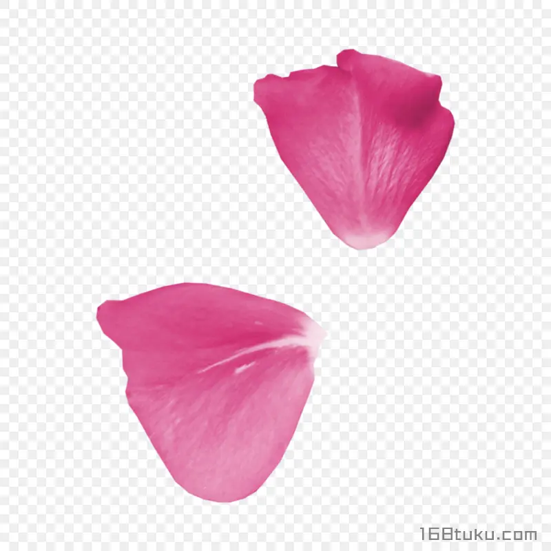 花瓣