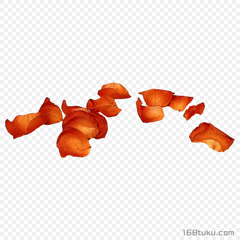 花瓣