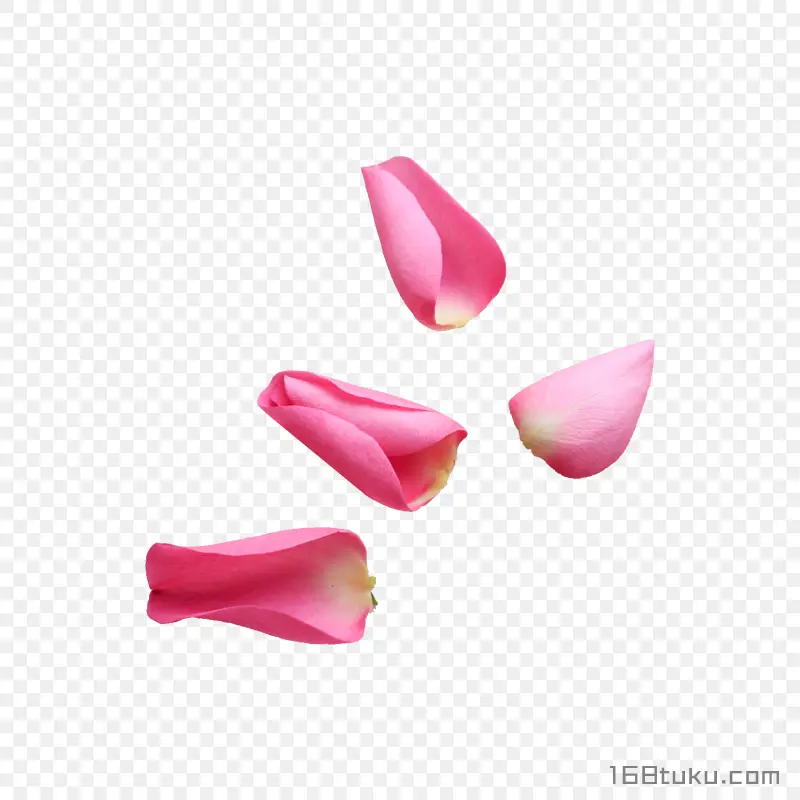 花瓣