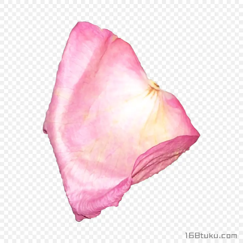 花瓣