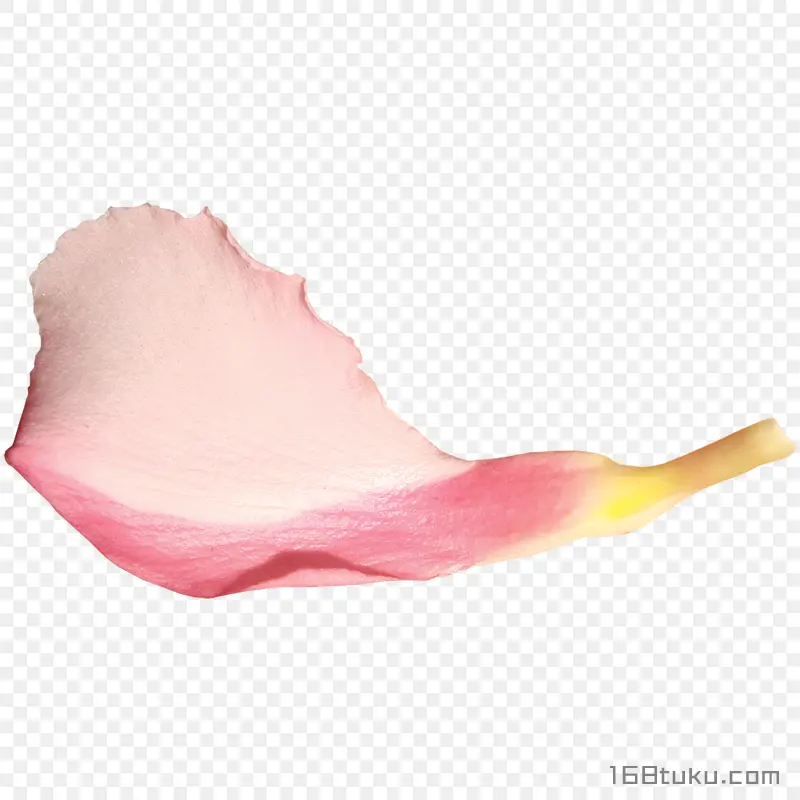 花瓣