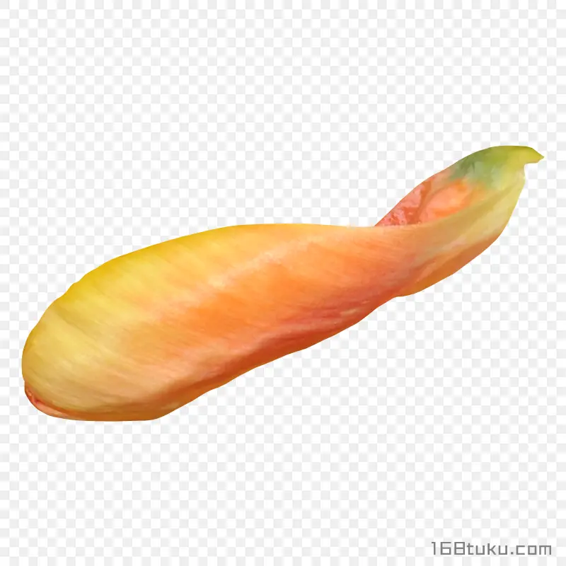 花瓣