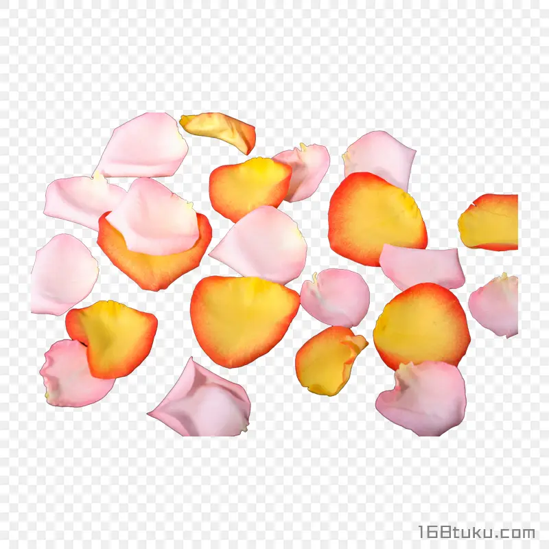手绘花瓣
