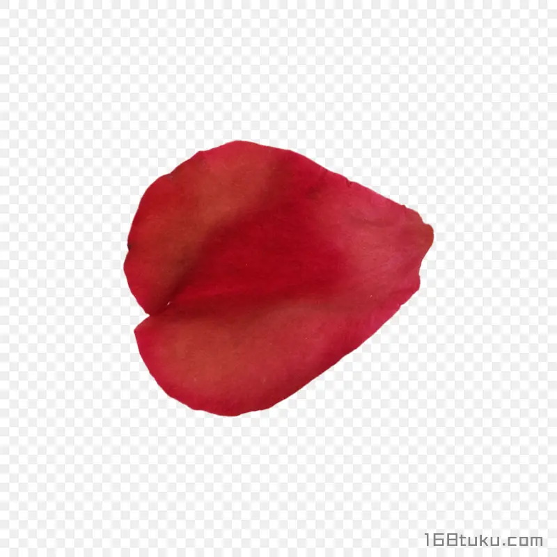 手绘花瓣