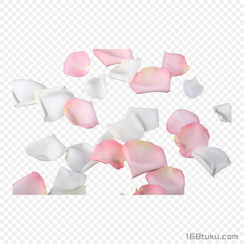 花瓣