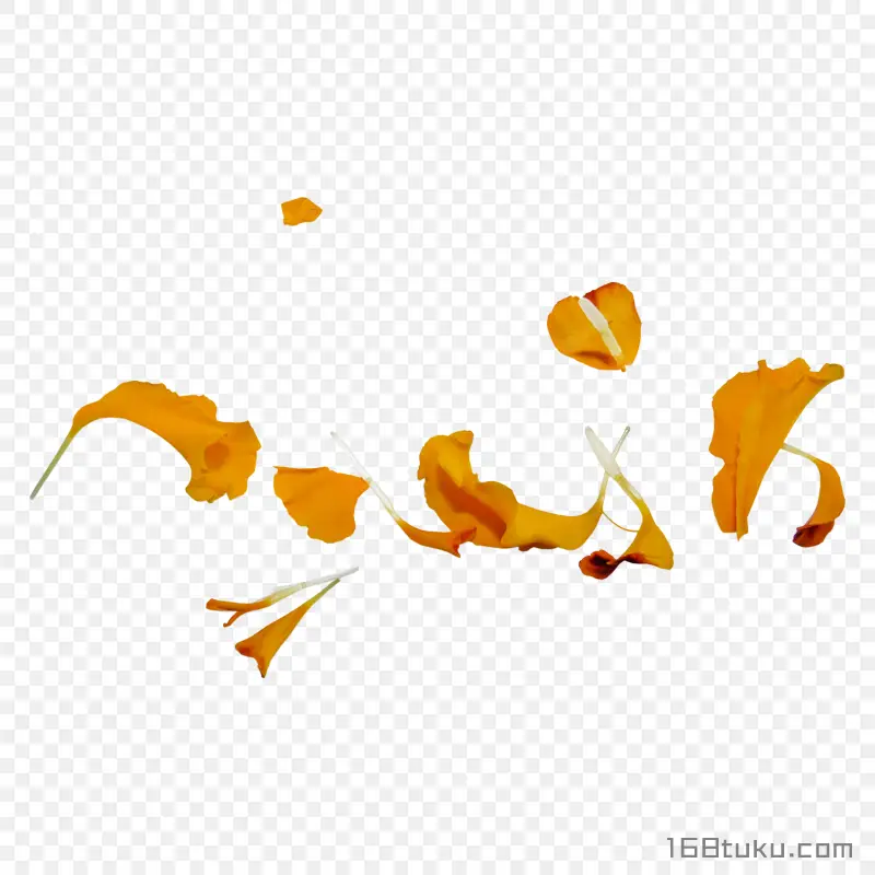花瓣