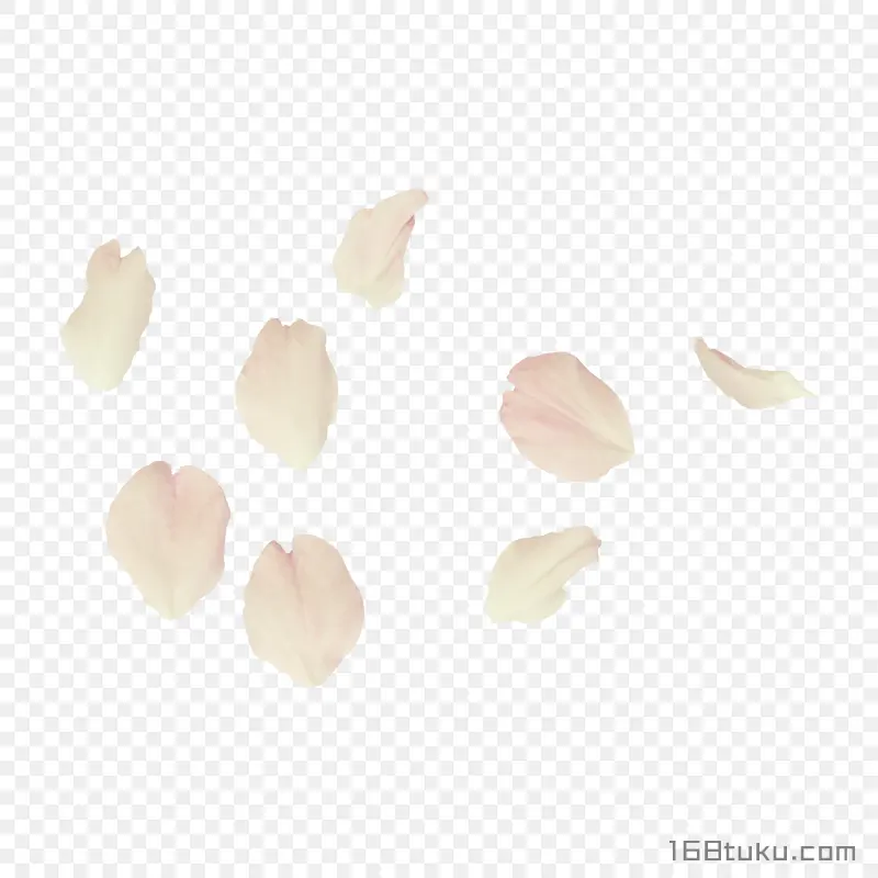 花瓣