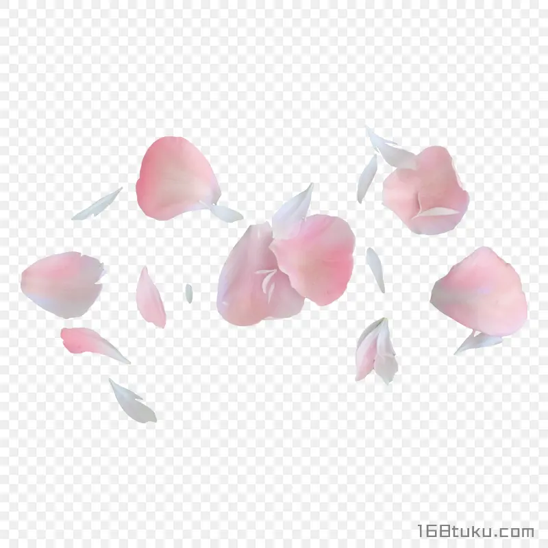 花瓣