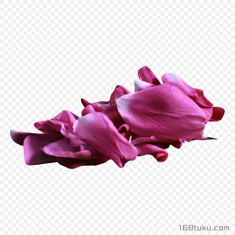 花瓣