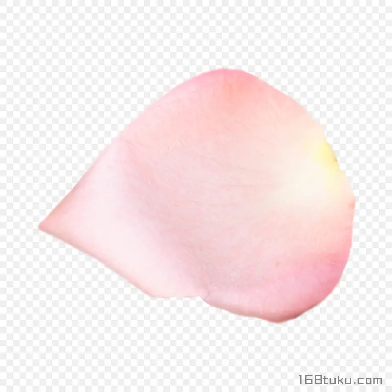 花瓣