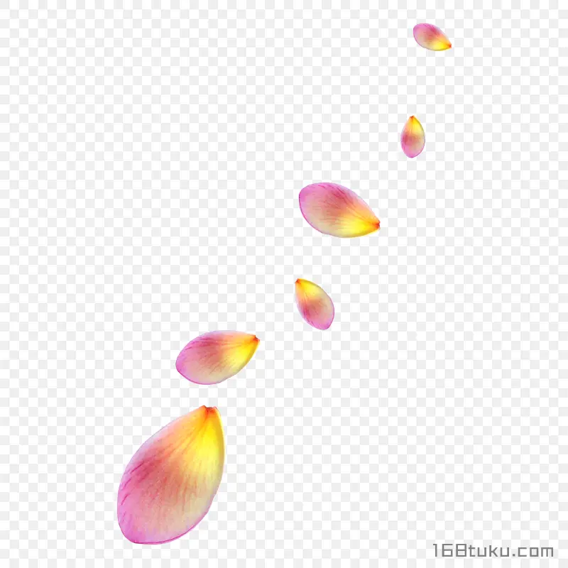 卡通花瓣