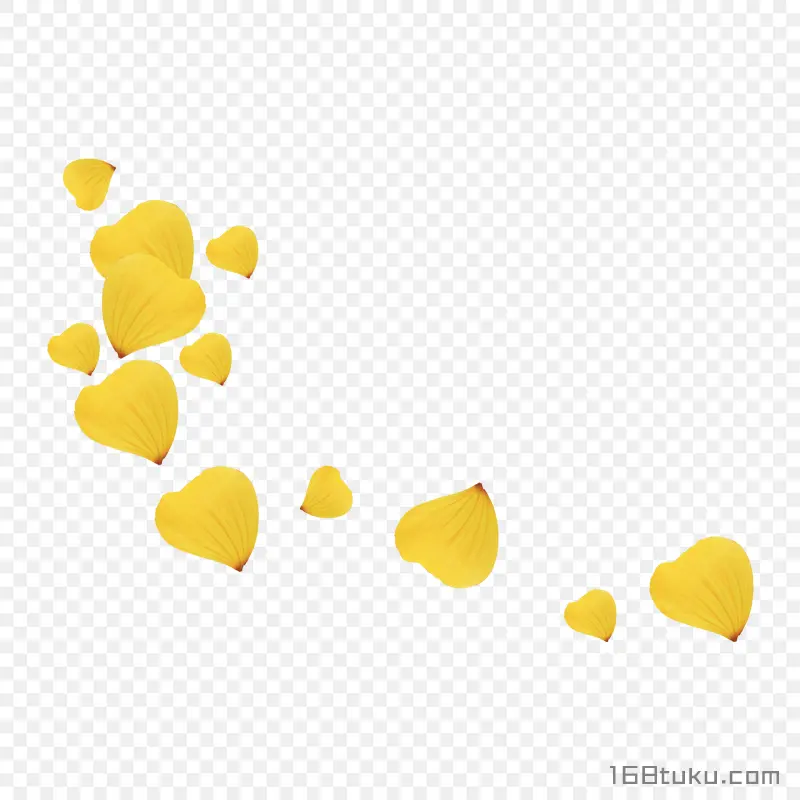 黄色花瓣