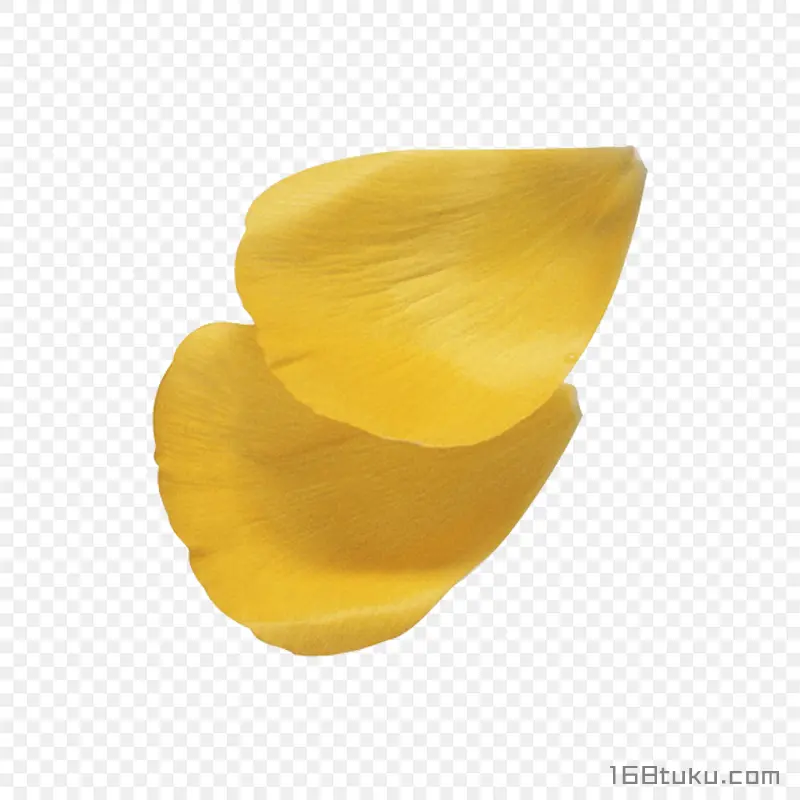 黄色花瓣