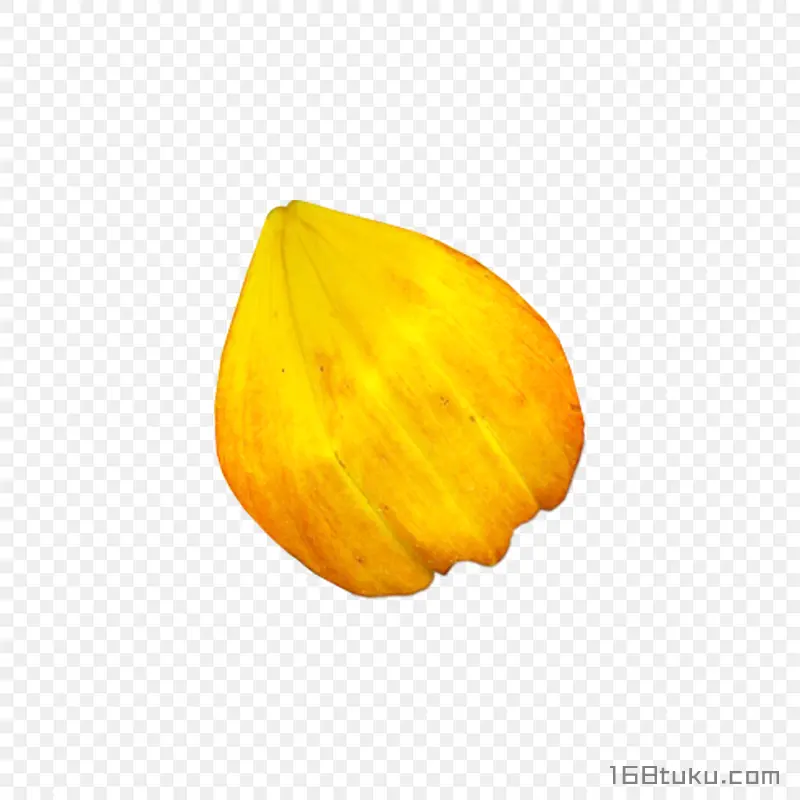 黄色花瓣