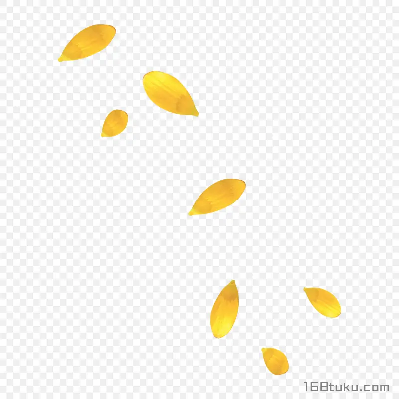 黄色花瓣