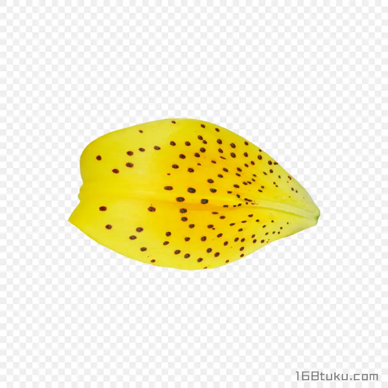 黄色花瓣